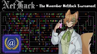 The November NetHack Tournament with the dog boy