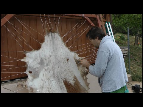 Video: Ako škrabať Vlnu