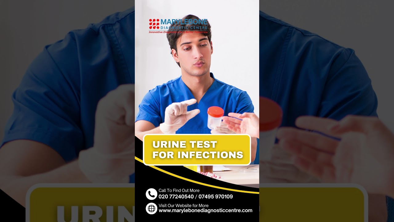 Urine Test for Infections Marylebone Diagnostic Centre