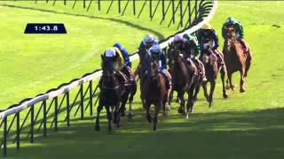 Vidéo de la course PMU QATAR PRIX DE ROYALLIEU