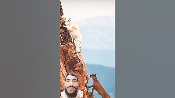 #egzonibrahimi #سورة_الإخلاص #ikhlas #nature #shortvideo #beautiful #fypviralシ #maanvlogs