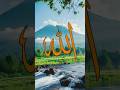 #IslamicVideo #Quran #Hadith #IslamicReminder #Dawah #Allah #Deen #Muslim #IslamicShorts