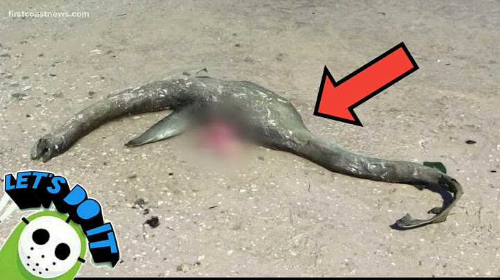 5 DOGAĐAJA KOJE NAUČNICI NE MOGU OBJASNITI
