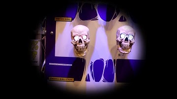 3 Axis Talking Skull