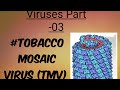 Tobacco mosaic virus||Structure||Infection||Symptoms