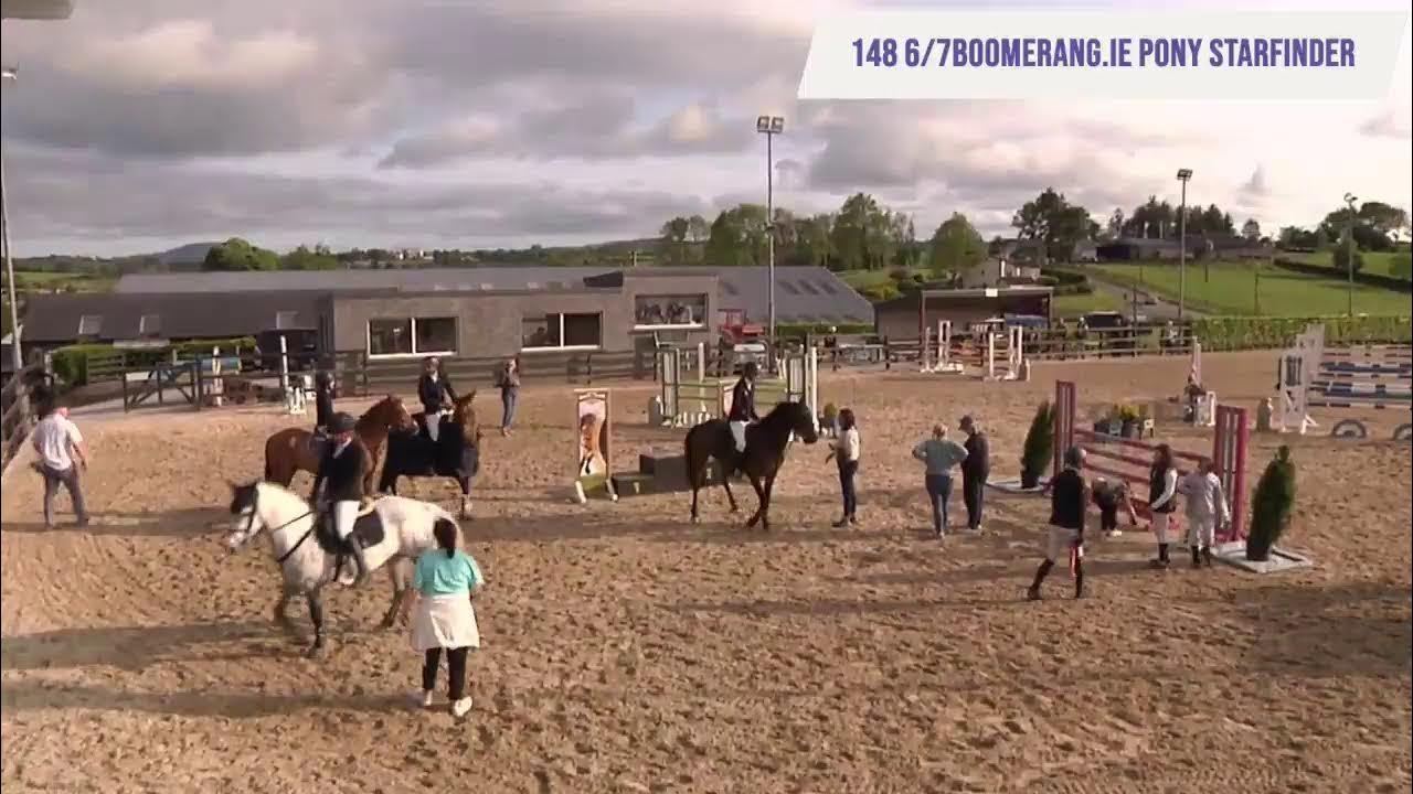 Showjumping Ireland Live Stream YouTube
