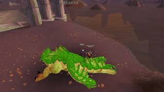 2 Level 1 Twinks vs Lvl 55 Hetaera