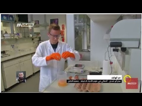 السلمونيلا وكيف تشكل خطر على الانسان عمار أبو قنديل صباحنا غير 6 9 2017 مساواة