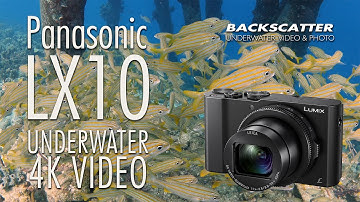 Panasonic LX10 4K Underwater Test Footage