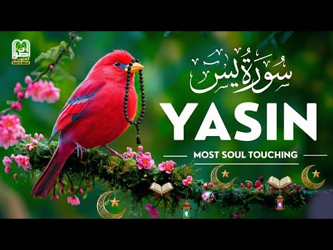 ​Surah Yasin Full | Open the Doors of Rizq & Success | Powerful Morning Recitation | سورة يس 