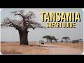 So Buchst Du Deine SAFARI In TANSANIA Inkl Kosten Malaria Tipps Infos