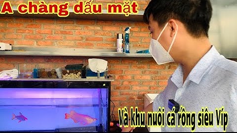 khu nuôi cá Rồng Víp trên sân thượng-Thái Salem vê lốc