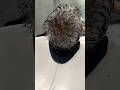 Salt And Pepper Hair Colour Hairbysanjeev Salt Pepper Newcut 
