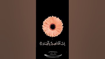 صباح الخير 💮حالات واتس اب مقاطع قصيره💮قران كريم سورة غافر وافوض امري الى الله💮 عبد الباسط بدون حقوق