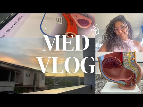 #008 Medvlog- Rotina