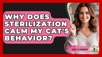 Why Does Sterilization Calm My Cat