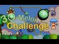 The 30-Melon Challenge - Yoshi's Story