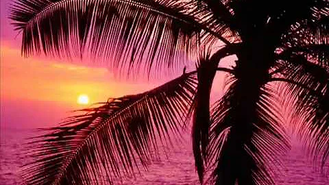 Quem espera sempre alcança?