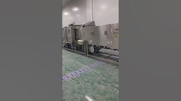 crate washer machine industrial cleaning machine for meat storage crates