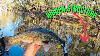 Fishing Hidden Structure For Murray Cod
