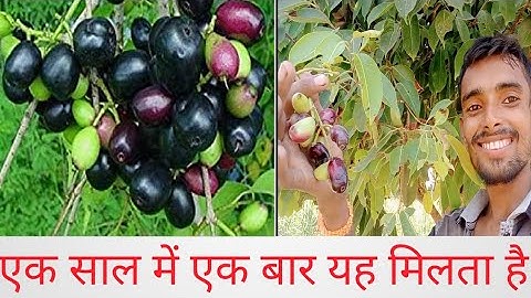 my first Vlog video!  @Aditya.Vlog.27