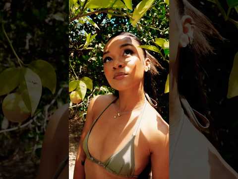 summer's on the way! 🥥🌴 #alltinted #summertime thumbnail