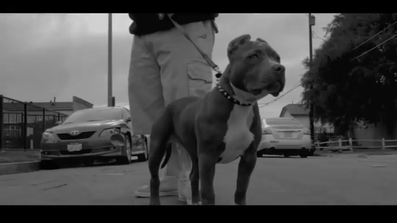 SPANKY LOCO - 1-800-WAS-HATN | (prod by Niles Davis) | (Official Music Video) | [LOCO OG - 2018]