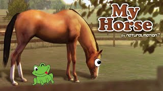 🐸 Jogando My Horse | É Legal? | Jogo Gratis de Celular screenshot 4