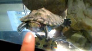 April the RES fluttering her hands