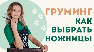 Ножницы для начинающего грумера. Как выбрать? Упражнения на постановку руки.