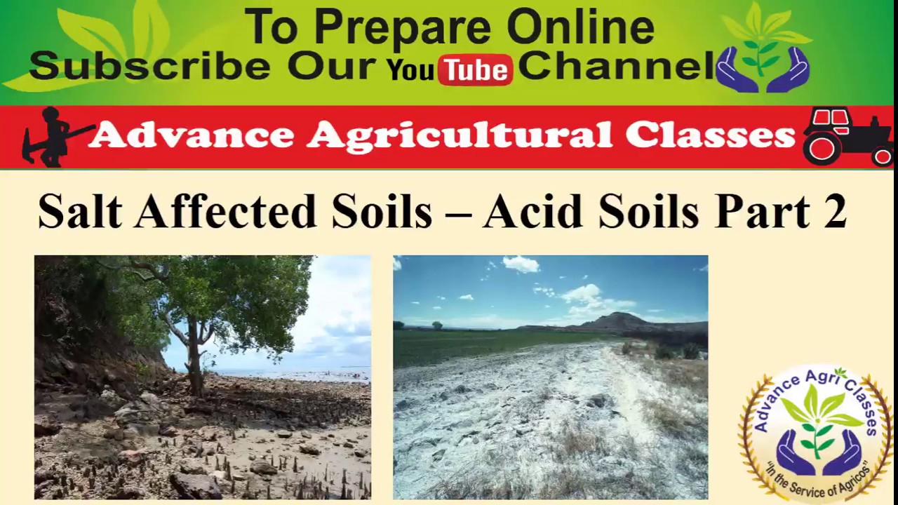 Acidic soils part 2 - Salt Affected Soils Part 2 IBPS AFO (Hindi/English)