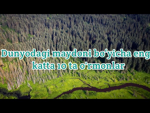 Meri Elizabet Uinstead yalangoch Yalangoch Regina aql