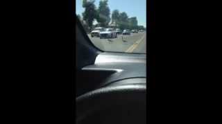 ThugLife- Geese Cross Street