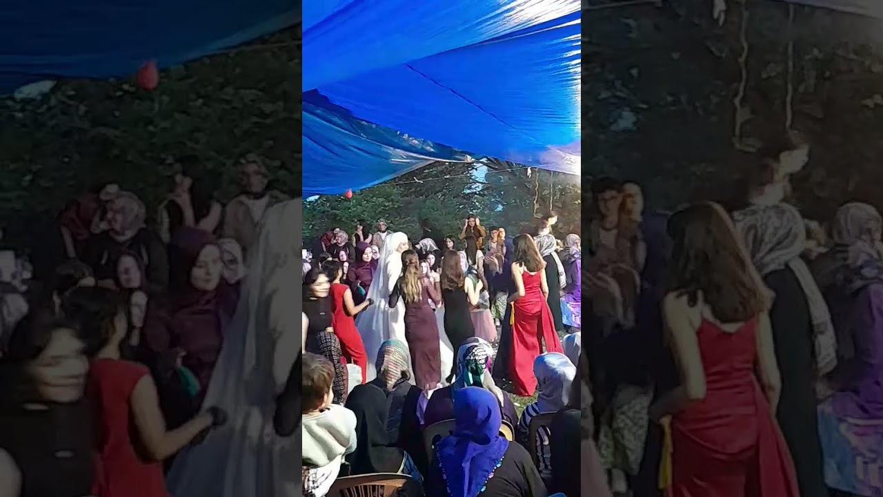 Ordu gürgentepe tepeköy