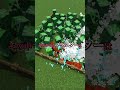 【アドオン紹介】私がいるからみんなが不幸になるんだ…【統合版マイクラ】