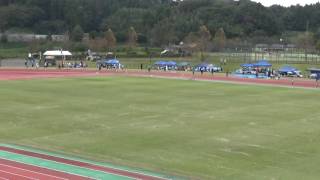 H28 Olympic杯1年男子1500m 2組