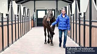 Valverde vd withoeve