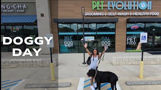 Dog Vlog : Doggy Day at Pet Evolution 