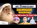 Shambhavi mahamudra do this yoga daily for 21 minutes bring miracles to your life  sadhguru