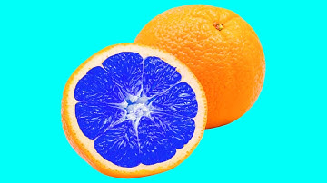 Hidden Patterns Inside Fruits, Vegetables stop-motion Animation