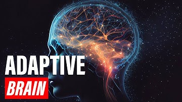 ⚡The Incredible Power of Your Brain to Adapt and Grow