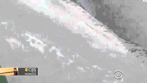 Skier