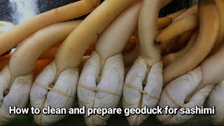 How to clean and prepare geoduck for sashimi