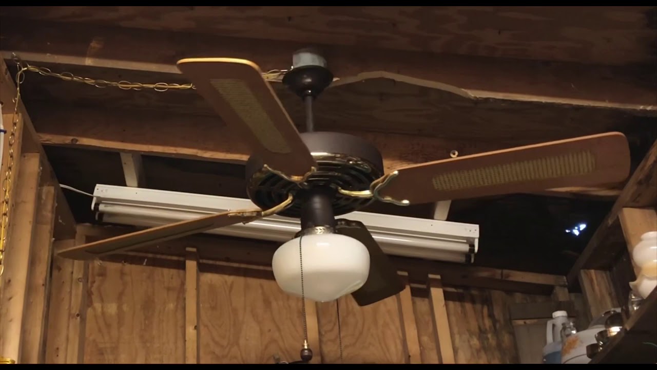 Evergo Banana Ceiling Fan Youtube