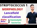 Streptococcus microbiology lancefield classification of streptococcus camp test