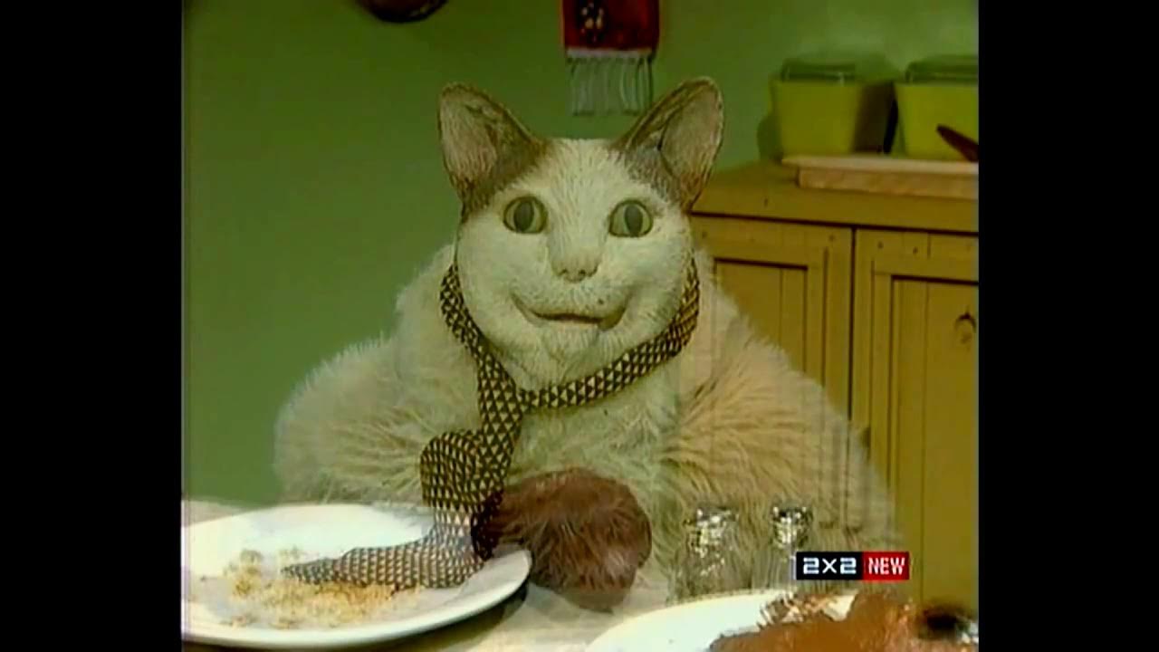 Нежное аппетитное дерьмецо. Tv funhouse кот. Tv funhouse кот. Кот фогги. Старая передача про собак.