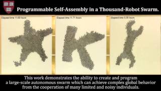 1,000-Strong Robot Collective Can Assemble Itself Into Different Shapes screenshot 4
