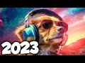 A melhor musica eletronica 2023  msicas eletrnicas mais tocadas  alok tiesto  david guetta