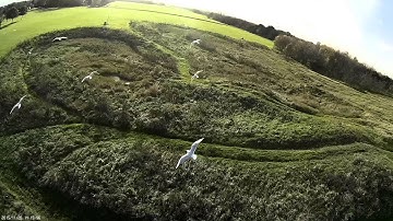 Immersionrc vortex crash