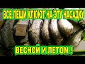 ВСЕ ЛЕЩИ КЛЮЮТ НА ЭТУ КОПЕЕЧНУЮ НАСАДКУ ВЕСНОЙ И ЛЕТОМ !! ЭТА НАСАДКА ВЫЛОВИТ ВСЕГО ЛЕЩА  В 2021!!